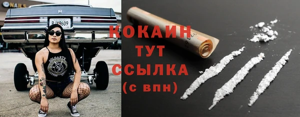 стаф Арсеньев