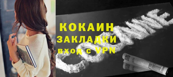 стаф Арсеньев