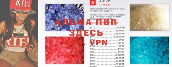 стаф Арсеньев