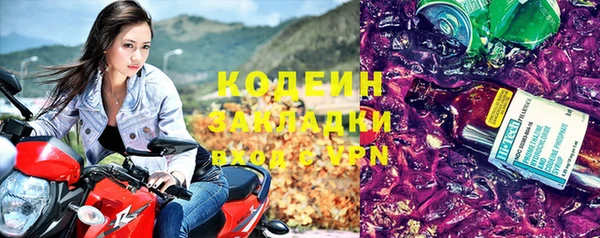 стаф Арсеньев