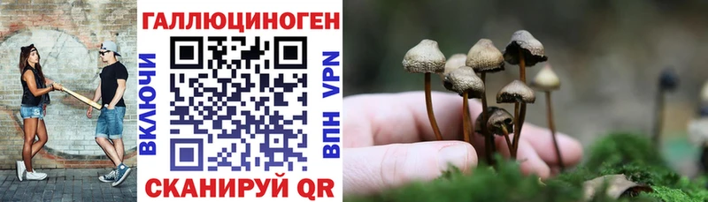 наркошоп  Нарткала  Псилоцибиновые грибы мицелий 