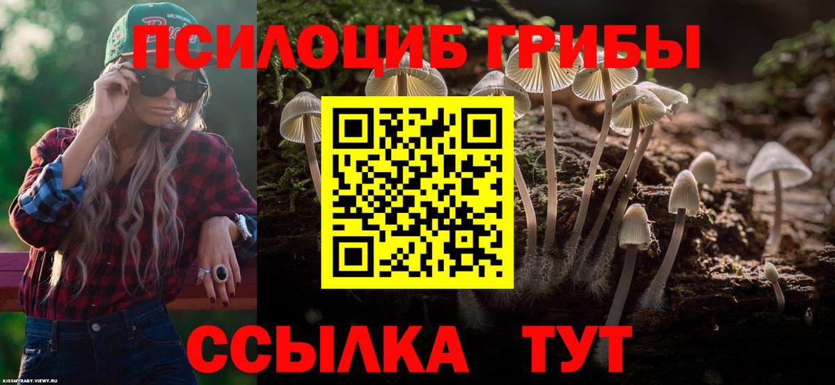 Нарткала  Псилоцибиновые грибы Psilocybe  Вход с VPN 