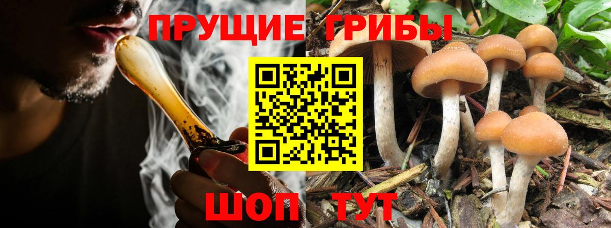 Псилоцибиновые грибы мухоморы Нарткала