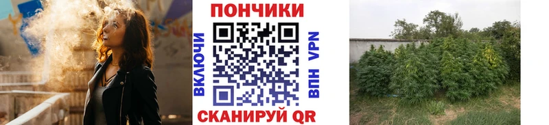 Бошки марихуана VHQ  Нарткала 